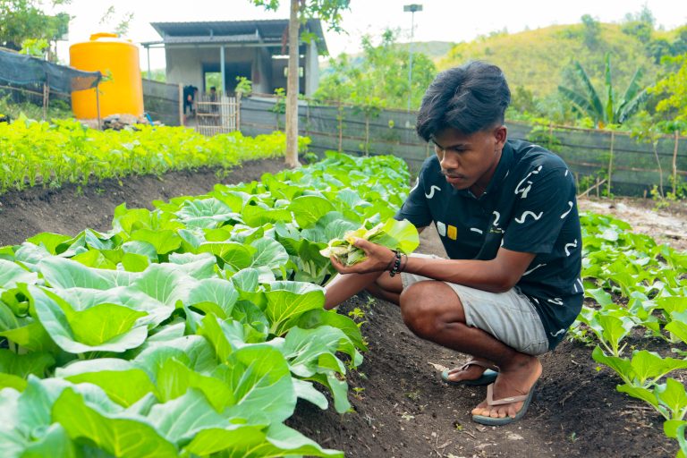 Menumbuhkan Wirausaha Muda dari Desa, SID Dampingi Pengembangan Agrosilvopastoral di Sumba Timur