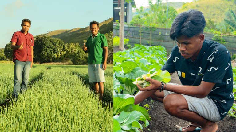 Menumbuhkan Wirausaha Muda dari Desa, SID dan ChildFund Dampingi Pengembangan Agrosilvopastoral di Sumba Timur